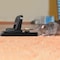 Black & Decker Rat Trap Outdoor  Rat Traps Indoor  Rodent Snap Trap, Touch Free  Reusable Pest Control, 8 Pack 2BX-BDXPC817 - alternate 5